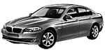 BMW F10 C1751 Fault Code